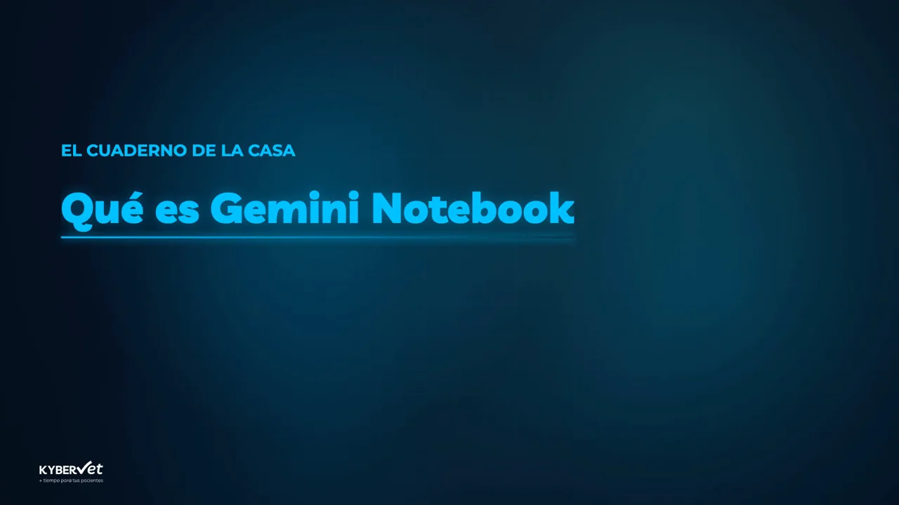 What Gemini Notebook is